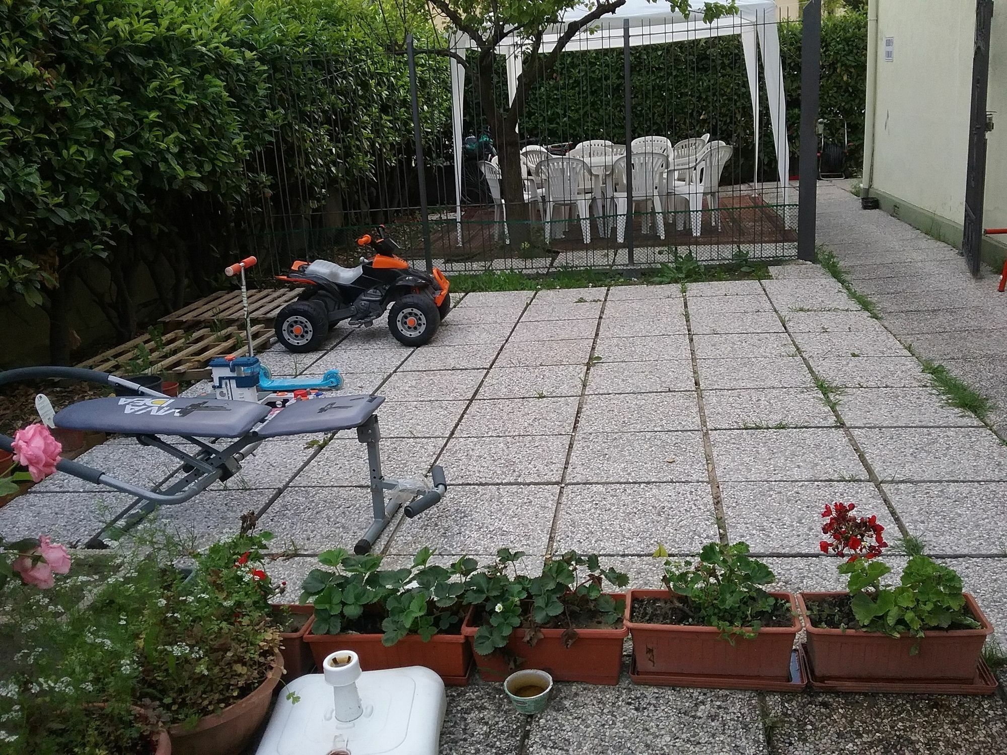 מסטרה Ever Green מראה חיצוני תמונה