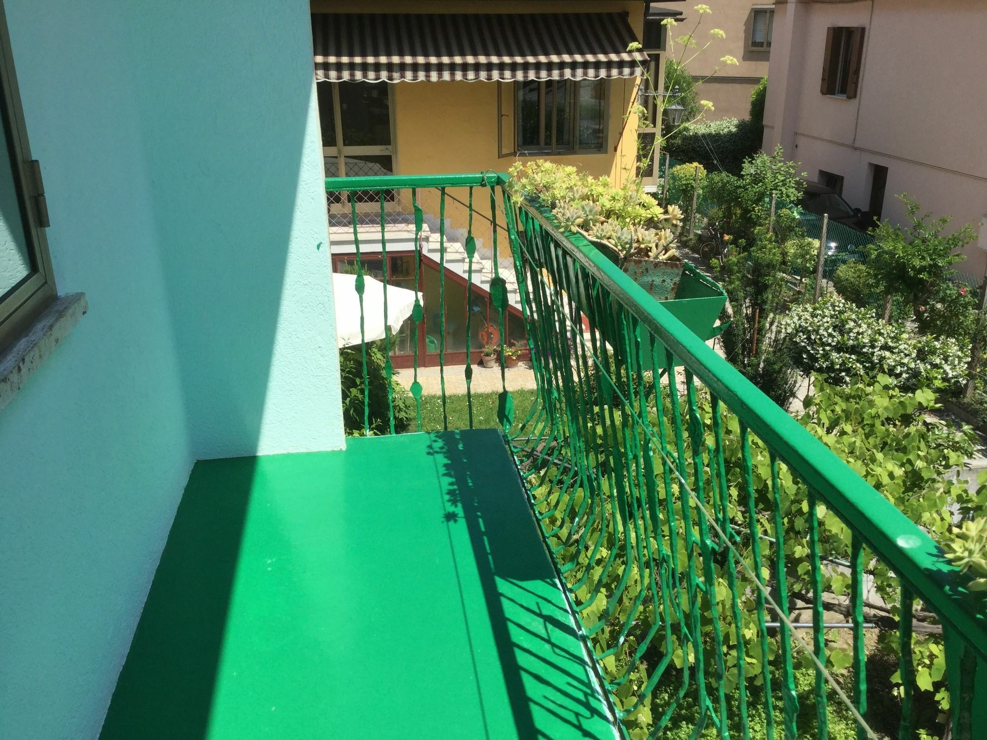 מסטרה Ever Green מראה חיצוני תמונה