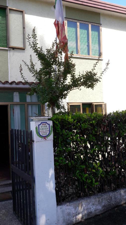 מסטרה Ever Green מראה חיצוני תמונה